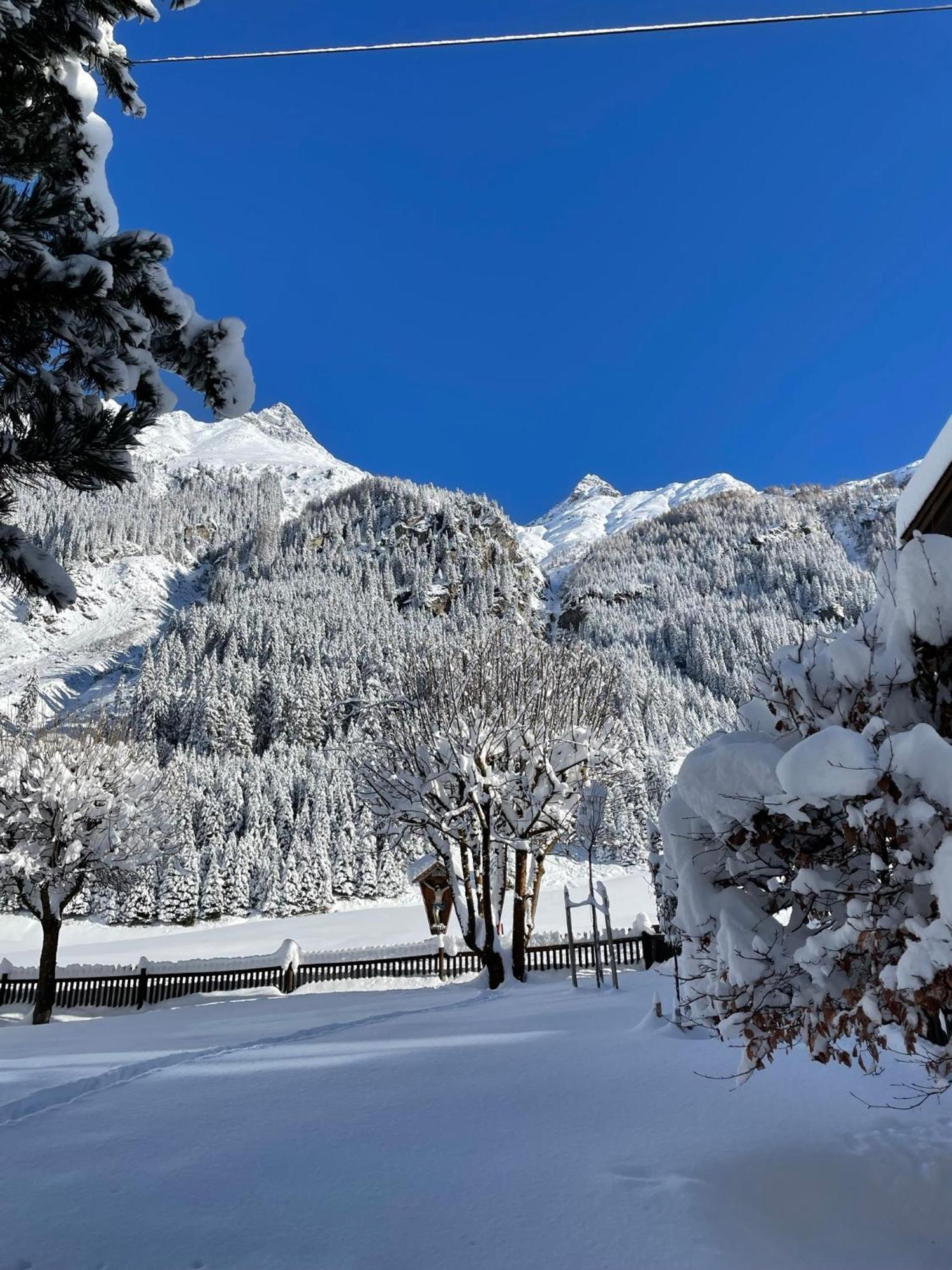 Apart Luibisblick Sankt Leonhard im Pitztal Eksteriør billede